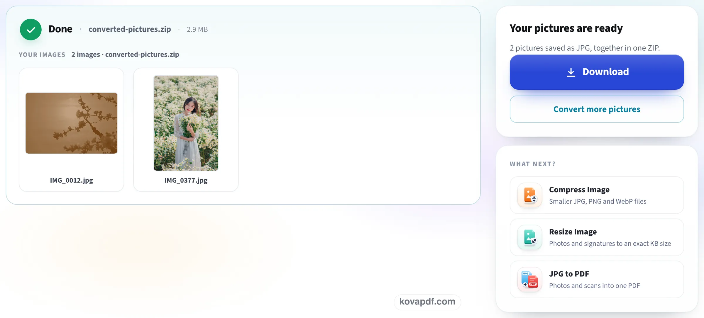 The finished screen: the photos saved as JPG, together in one ZIP, with the Download button