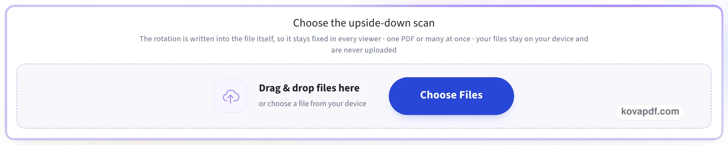 The upload box reading Choose the upside-down scan, with a Choose Files button
