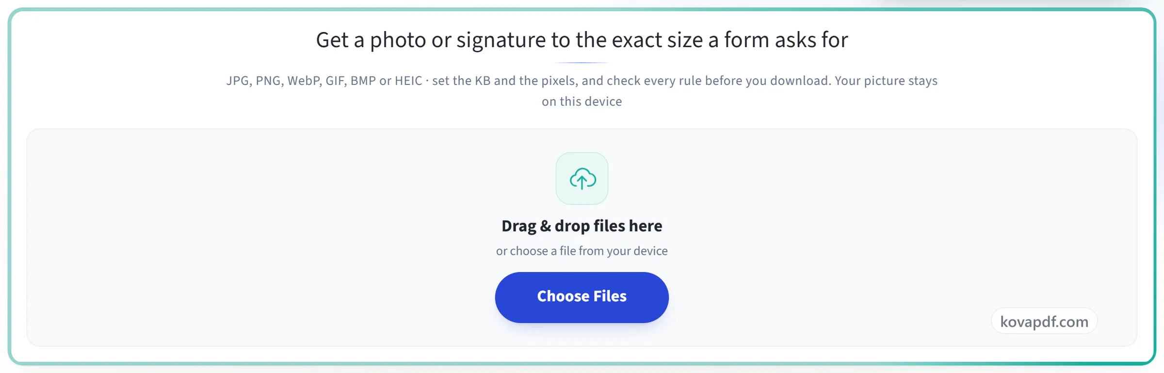 The Resize Image upload panel