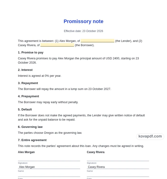 Read the filled document: promissory note generator with sample details